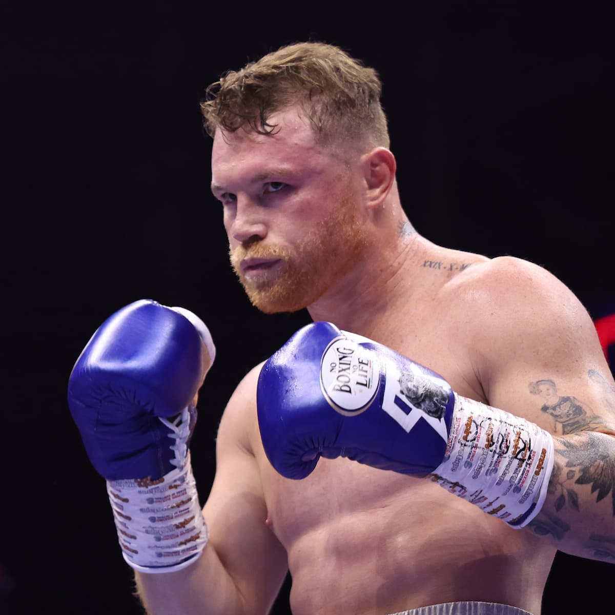 Canelo Alvarez during his bout against William Scull