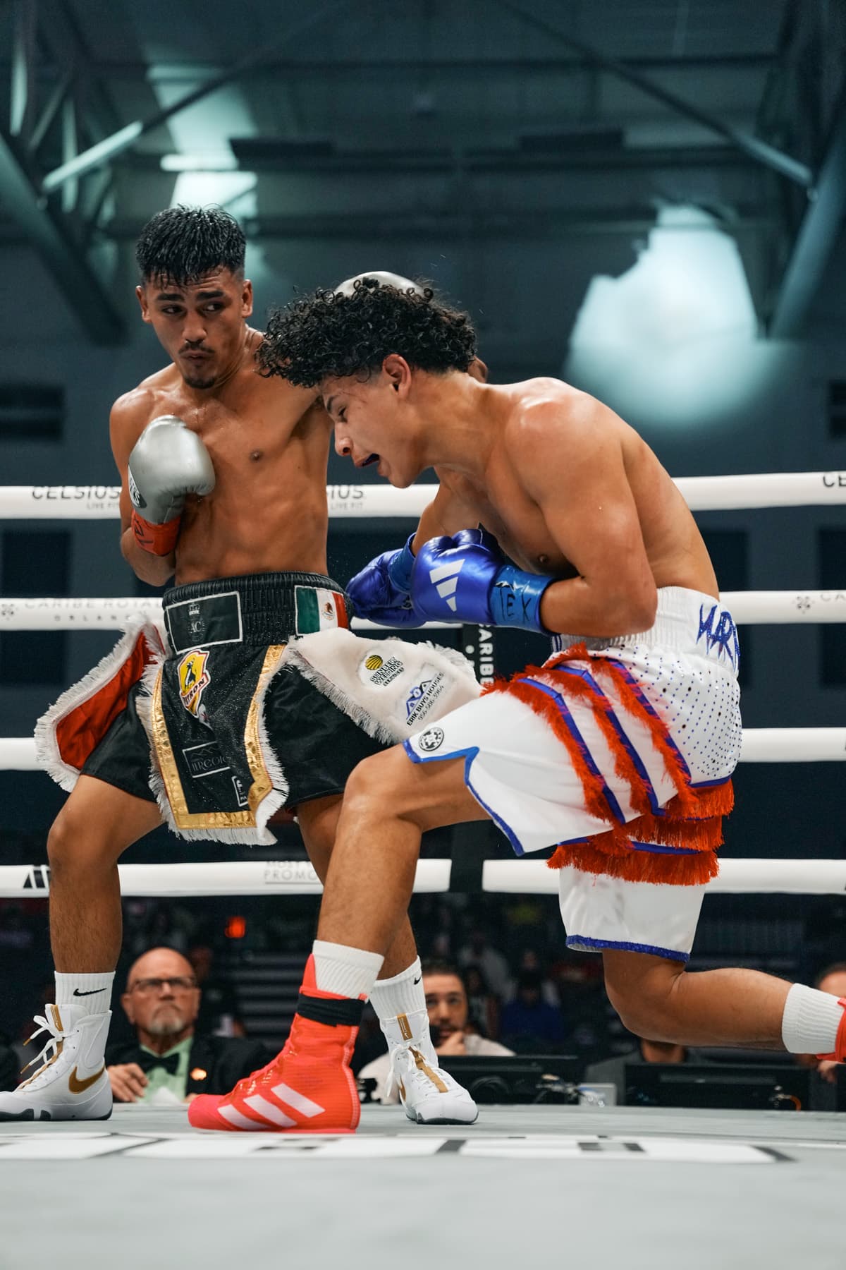 Reggie Ray Martinez punches Edgar Rosales during their bout