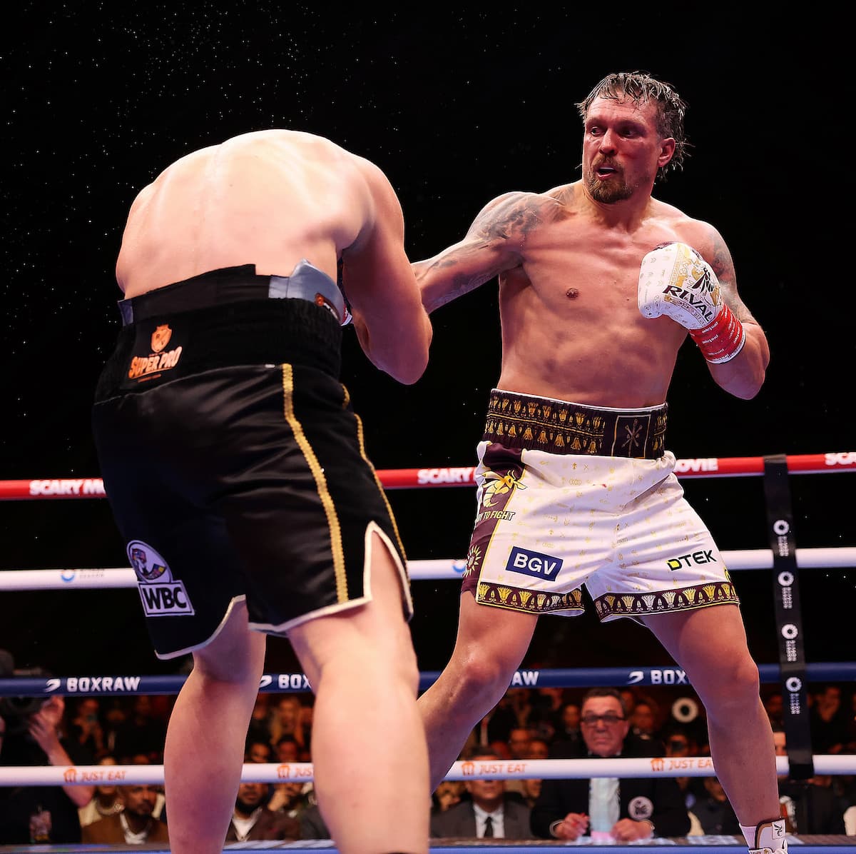 Oleksandr Usyk and Rico Verhoeven in action during fight